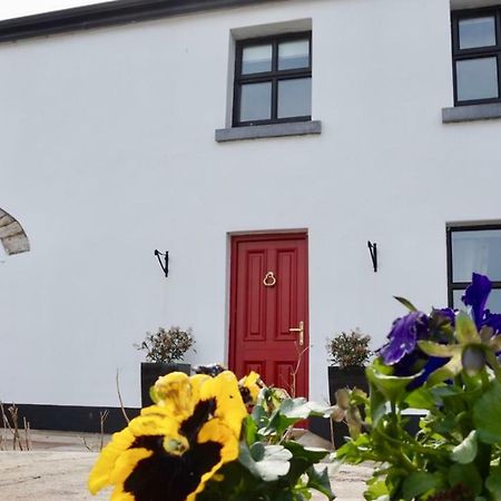 Cartron House Bed and Breakfast Ballinakill  Εξωτερικό φωτογραφία