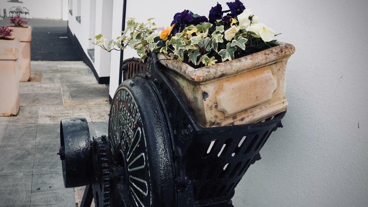 Cartron House Bed and Breakfast Ballinakill  Εξωτερικό φωτογραφία