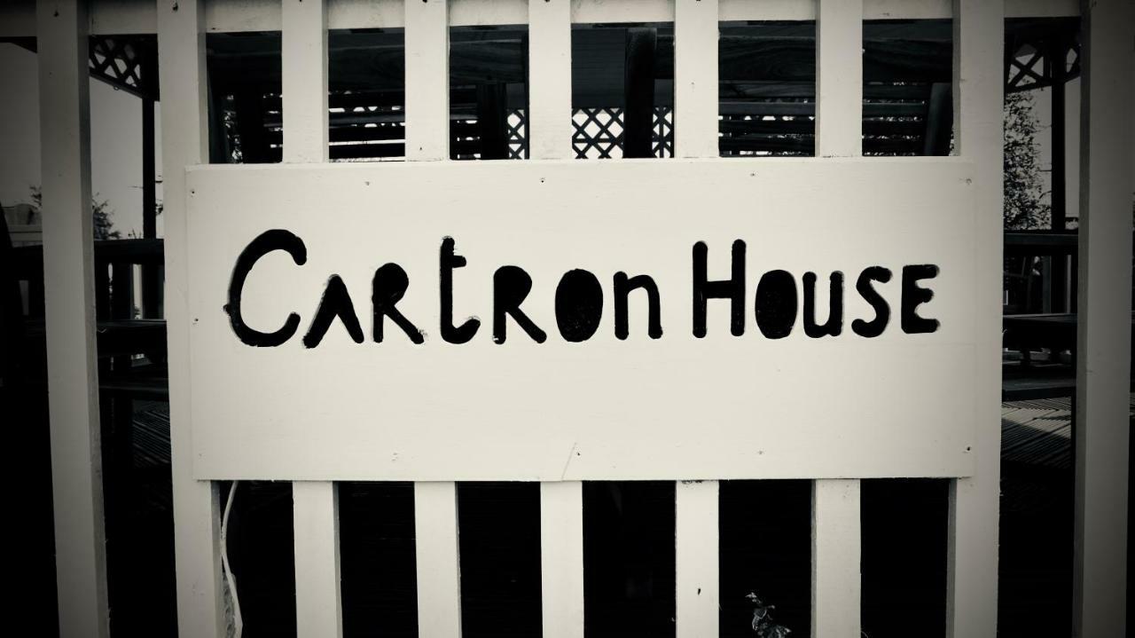 Cartron House Bed and Breakfast Ballinakill  Εξωτερικό φωτογραφία