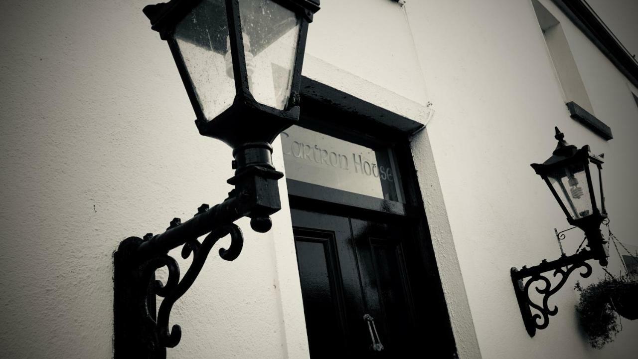 Cartron House Bed and Breakfast Ballinakill  Εξωτερικό φωτογραφία